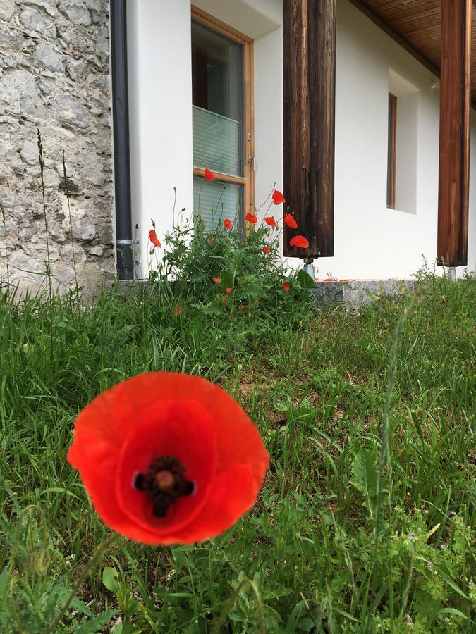 Ferienwohnung Der Weber - Haus der Zukunft Hermagor-Pressegger See Exterior foto